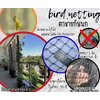 ตาข่ายกันนก ดักนก bird netting สีดำ เชือกหนา 1 มิล ช่องตา1x1 นิ้ว ตาข่ายกันนกเข้าแปลงผัก เข้าอาคาร ทำตามขนาดที่ต้องการ