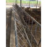 ตาข่ายใส่ฟางให้วัว