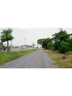 ขายถูก ที่ดิน 5 ไร่ คลอง 4 ถ.เลียบมอเตอร์เวย์ฝั่งตะวันตก คลองหลวง ปทุมธานี ขายเท่าราคาประเมิน ที่ดินติดถนนสาธารณประโยชน์