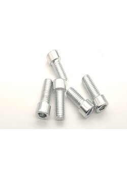 สกรูหัวจมหกเหลี่ยมชุบ Galvanized Screw M6x10 / ชิ้น