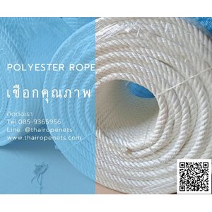 เชือกโพลีเอสเตอร์ Polyester