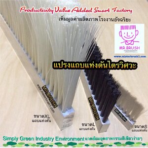 แปรงแถบแท่งตันไตรวิศวะ