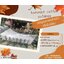 เปลญวนสีขาว ลายดอกพิกุล hammock cotton outdoor ถักด้วยเชือกมาคราเม่ เปลญวนตกแต่งข้างสไตล์โบฮีเมียน พร้อมใช้งาน