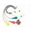 Muscle Signal Sensor EMG Sensor เซนเซอร์วัดสัญญาณกล้ามเนื้อ สต็อกไทยส่งไว