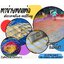 ตาข่ายตกแต่งสีสันสดใส decorative netting หลากสี เส้นเชือกหนา 1.5 มิล ช่องตา 1x1 นิ้ว ตาข่าย HDPE เคลือบสารป้องกัน UV ทนแดด ทนฝน ใช้งานกลางแจ้ง มากกว่า 8-10 ปี