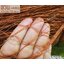 อวนดักปลา สีส้มอิฐ เส้นเชือกหนา 0.8 มิล ช่องตา 2.5x2.5 cm.ผสมสารป้องกัน UV ทนแดด ทนฝน รับทำตามขนาด