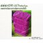 ตาข่ายอวน สีม่วง เชือกหนา 1.5 มิลช่องตา 1x1 นิ้ว ตาข่าย HDPE เคลือบสารป้องกัน UV ขนาดยกม้วน 10x25 เมตร