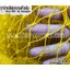 ตาข่ายล้อมสนามเด็กเล่น ตาข่ายHDPE สีเหลือง สดใส เส้นเชือกหนา 1.5 มิล ช่องตา 1x1 นิ้ว รับทำตามขนาดที่ต้องการ