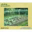 ตาข่ายอวนล้อมเขต สีเขียว เชือกหนา 1.5 มิลช่องตา 1x1 นิ้ว ตาข่าย HDPE เคลือบสารป้องกัน UV ขนาดยกม้วน 10x25 เมตร