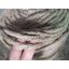 เชือกปอ ขนาด 6 mm. รุ่น 12 เกลียว พร้อมส่ง ยาว 500 เมตร/ม้วน เชือกแมว ลับเล็บแมว
