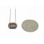 Light Dependent Resistor (LDR 10MM) เชนเซอร์ตรวจจับแสง ขนาด 10 มม. สต็อกไทยส่งไว
