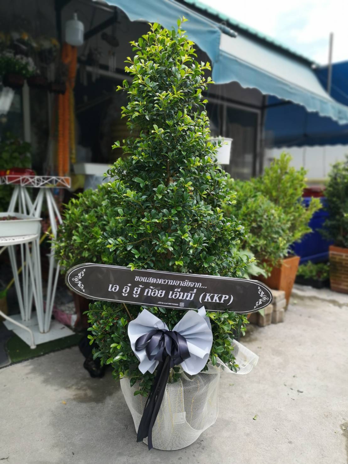 พวงหรีดต้นไม้