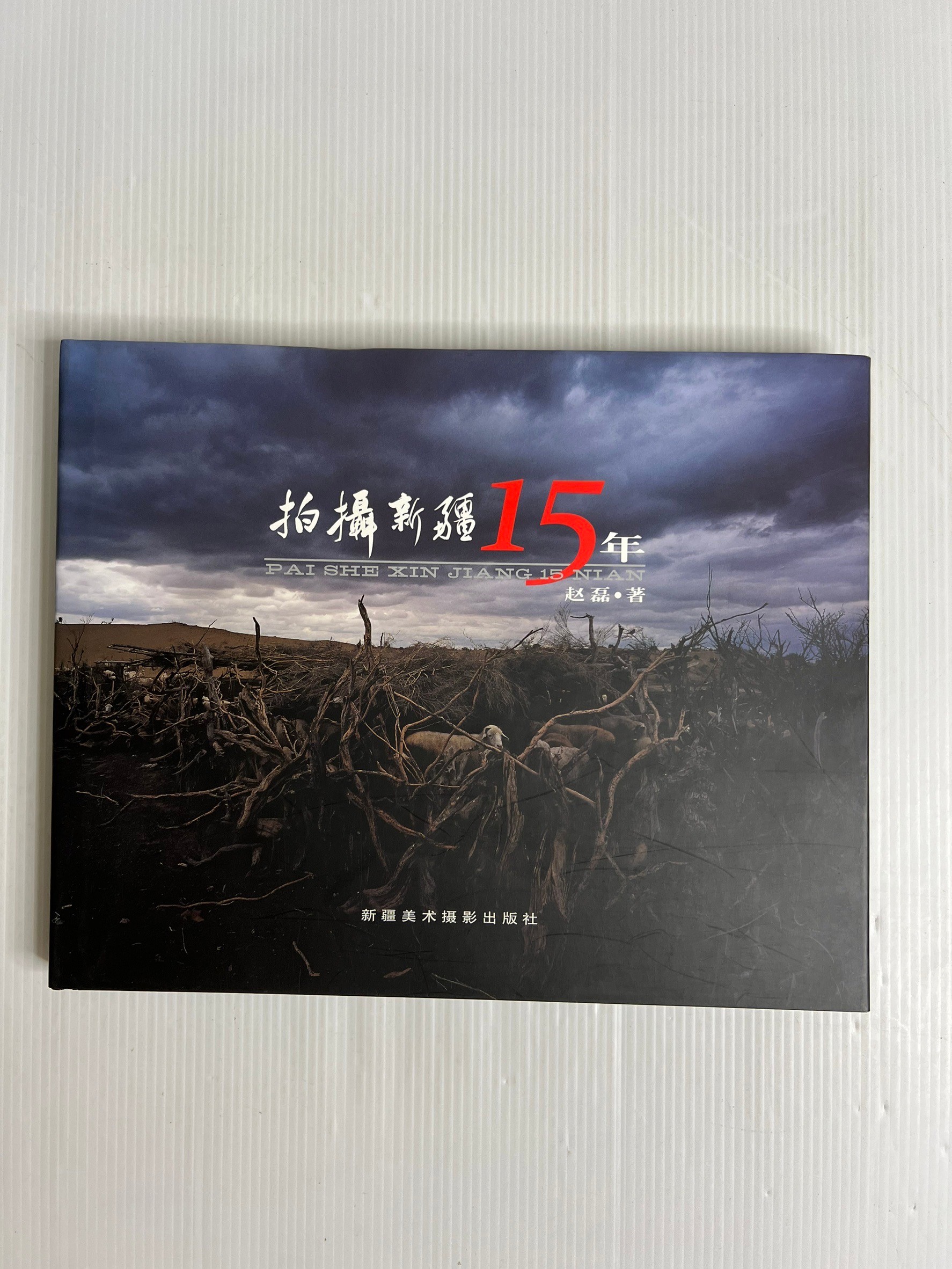 Pai She Xin Jiang 15 Nian Xin Jiang 1992 90-99% Hardcover