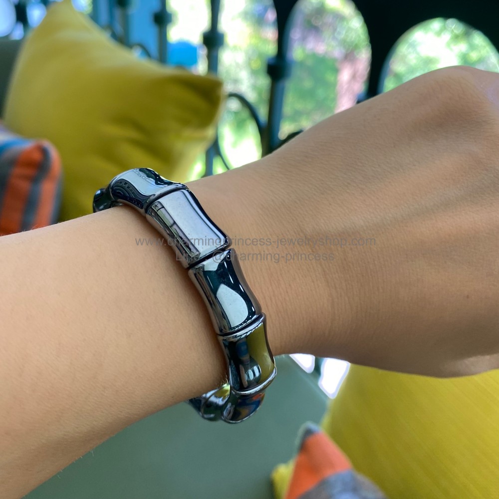 เทราเฮิร์ต กำไล (Terahertz Bracelet) แร่สังเคราะห์ที่มีเพื่อการบำบัด รักษา เป็นเทคโนโลยีจดสิทธิบัตร จากประเทศญี่ปุ่น