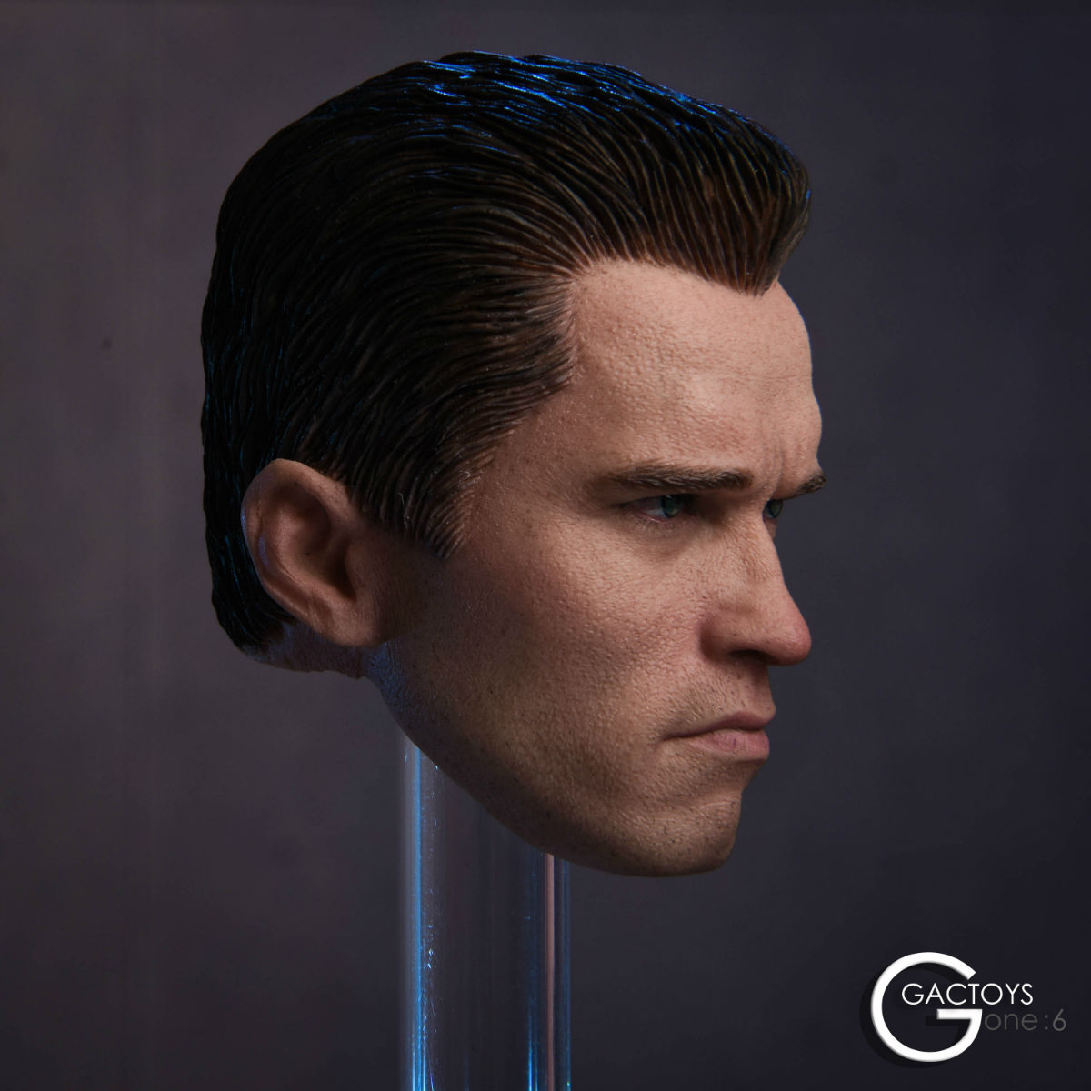 GACTOYS GC016 American male headsculpt