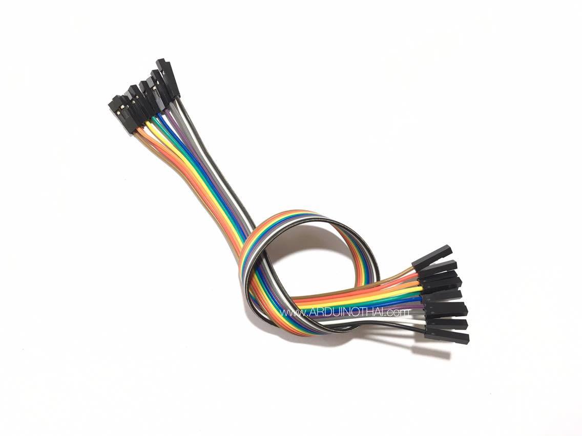 Jump Wire สายจั๊ม เมีย-เมีย (Female to Female) ยาว 30 cm. จำนวน 10 เส้น สต็อกไทยส่งไว