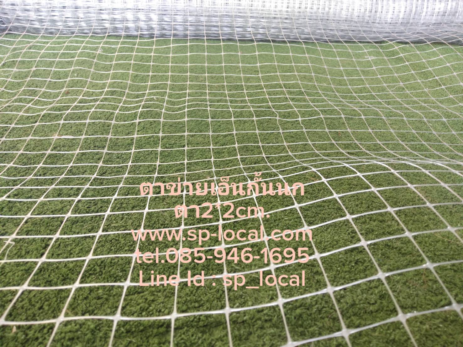 ตาข่ายเอ็นกันนก สีใส