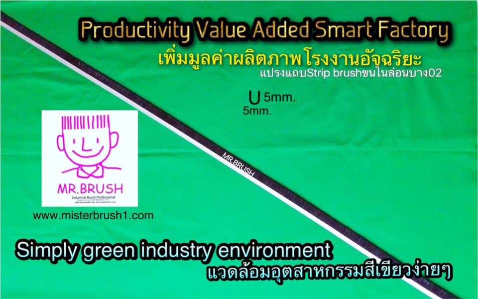 แปรงแถบStrip brushหนาบาง