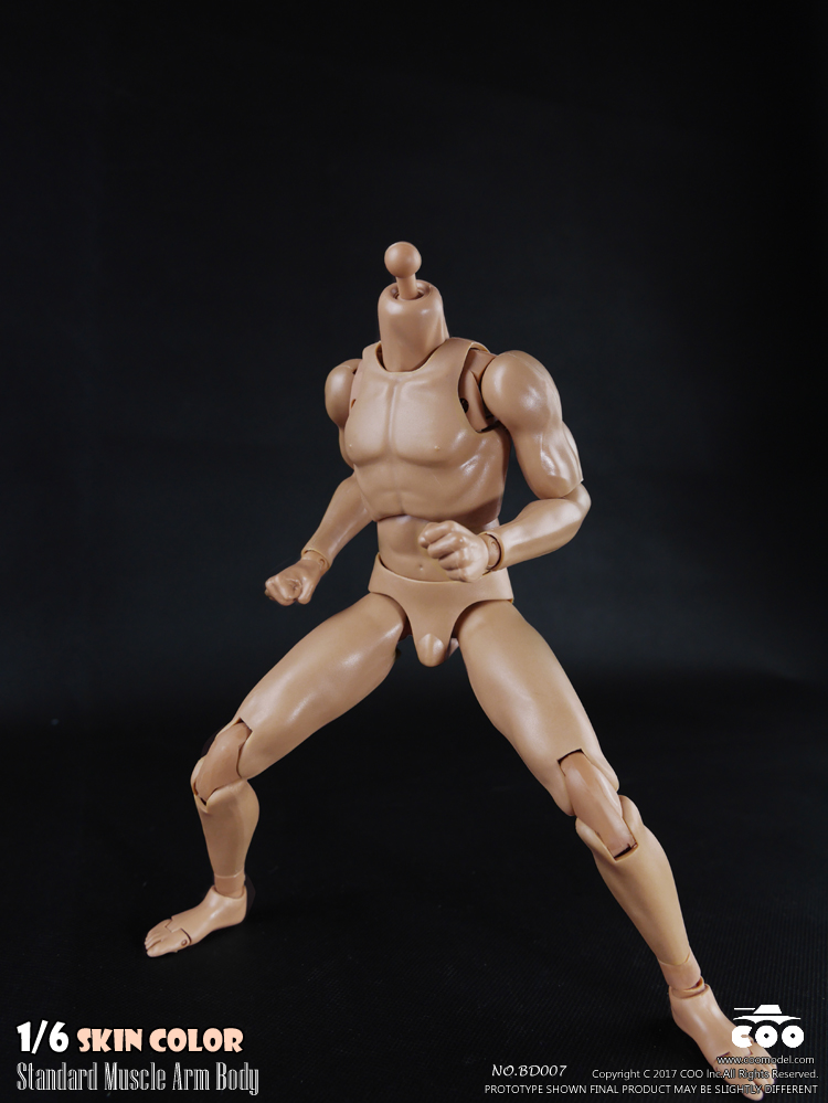 COOMODEL BD007 / BD008 Standard & High Standard Muscle Arm Body