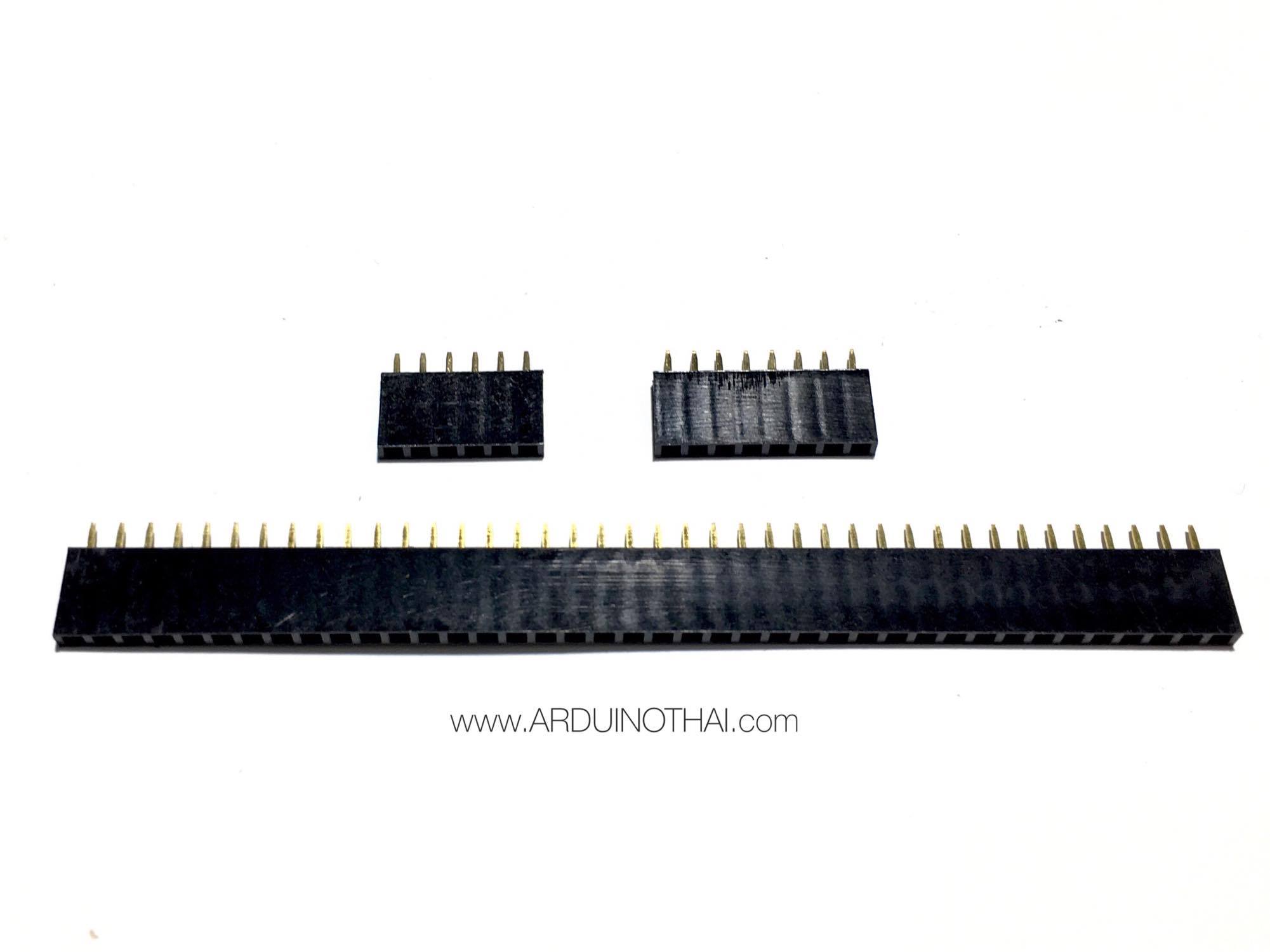Female socket 2.54MM pitch single row