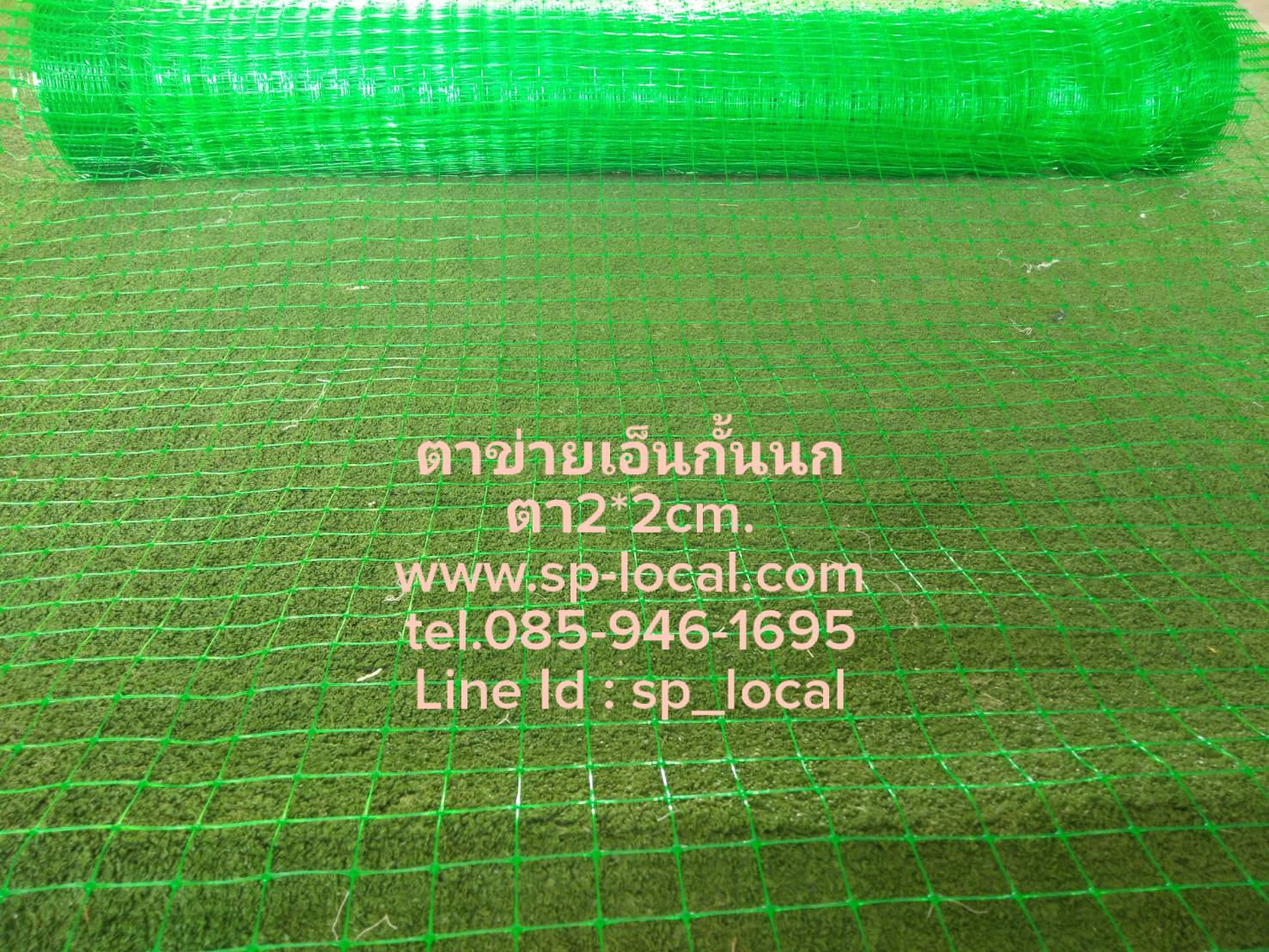 ตาข่ายเอ็นกันนก สีเขียว