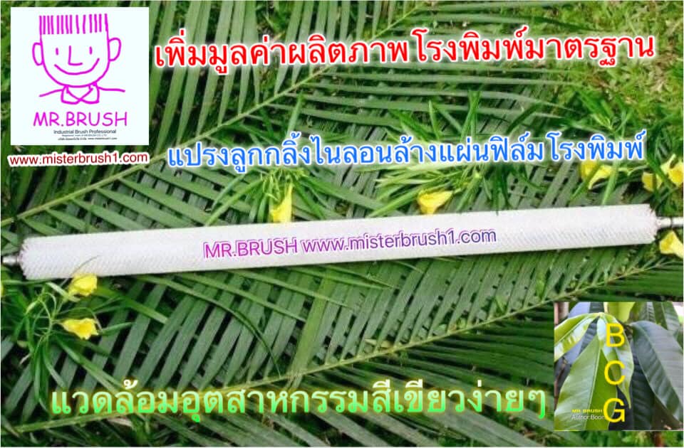 แปรงโรงพิมพ์