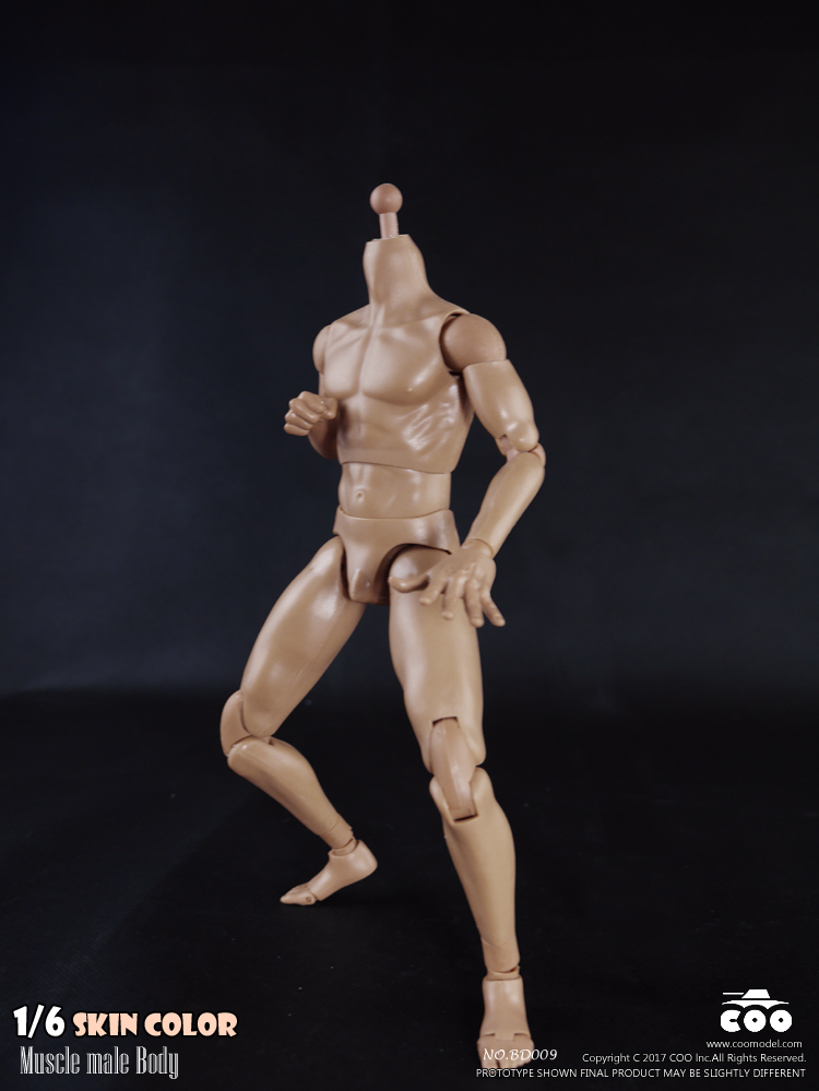 COOMODEL BD009 Standard Muscle Arm Body