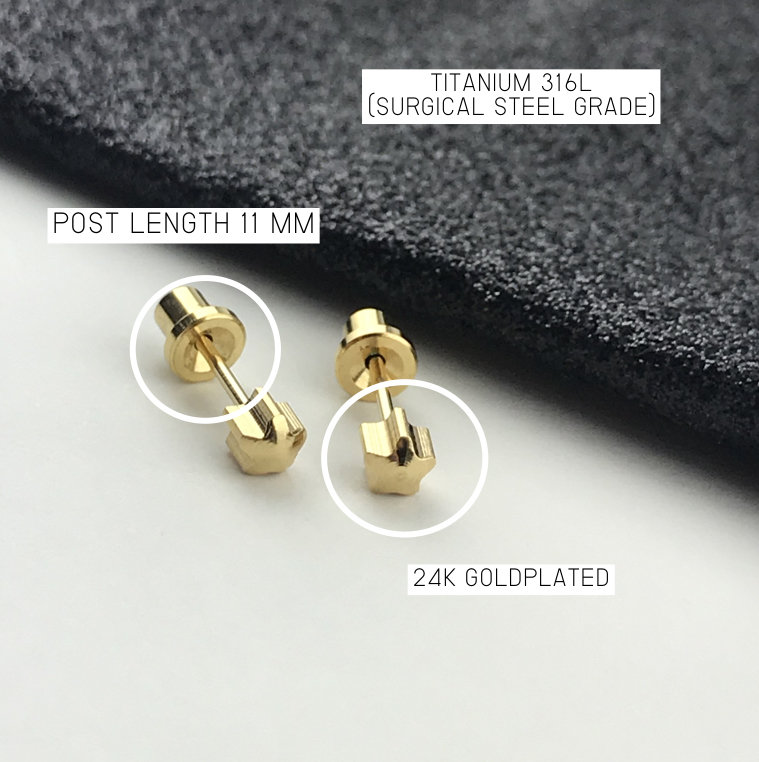 (ส่งฟรี!) ต่างหูสำหรับผิวแพ้ง่ายแป้นตัน สแตนเลสเกรดการแพทย์ ปลอดภัย 100% Star 4mm