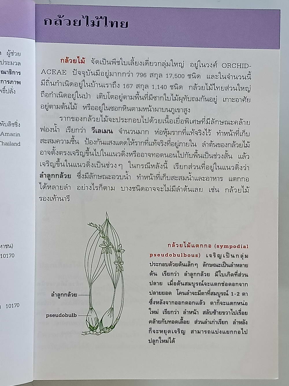 หนังสือมือสอง 214 คู่มือคนรักต้นไม้"กล้วยไม้ไทย" ให้ข้อมูลโดยละเอียดในการปลูกพืชกล้วยไม้ ความหนา 94 หน้า