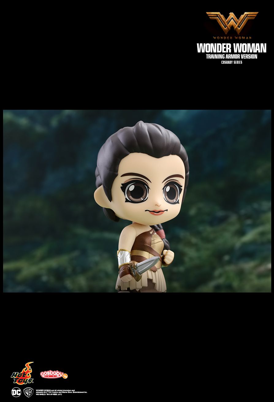 Hot Toys COSB419 WONDER WOMAN - WONDER WOMAN (TRAINING ARMOR VERSION)