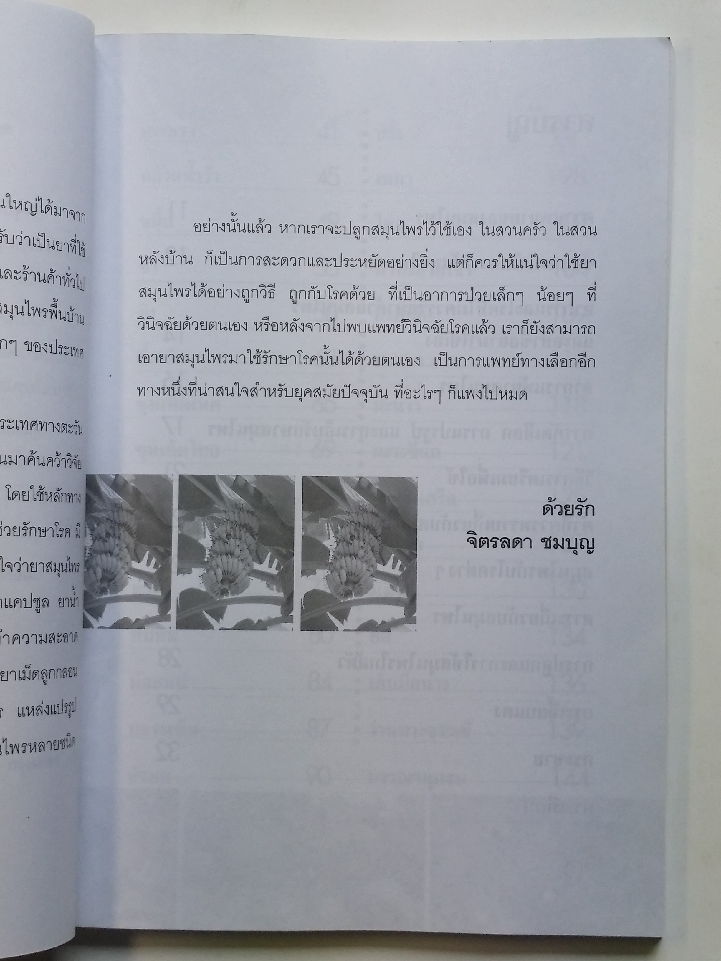 หนังสือมือสอง 292 หนังสือปลูก และ ใช้ สมุนไพร ใกล้ตัว ราคาปก 110.บาท