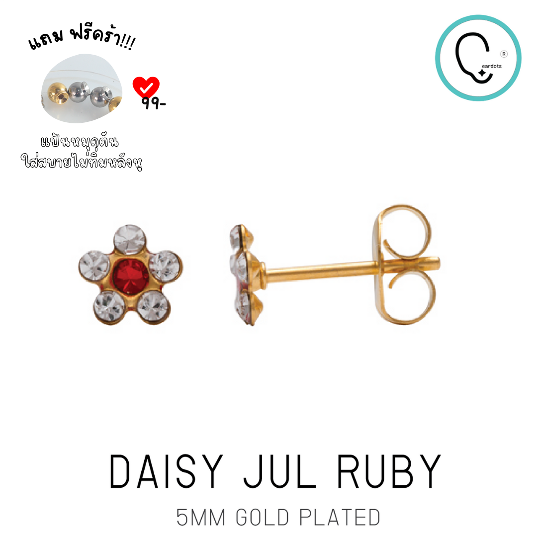 (สำหรับเจาะ Sterile)DAISY ดอกไม้ขาวแดง ก้านสีทอง แพคเกจปลอดเชื้อ ปลอดภัย 100%_STD014