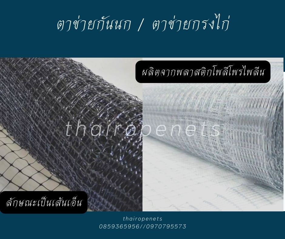 ตาข่ายกันนก หรือ ตาข่ายกรงไก่ ตาข่ายมีลักษณะเป็นเส้นเอ็น ผลิตจากพลาสติกโพลีโพรไพลีน (Polypropylene - PP) คุณสมบัติ เหนียว น้ำหนักเบา คล้ายเส้นเอ็น ทอเป็นรูปเนื้อเดียวกันทั้งหมด เครือบด้วยสารป้องกัน UV ทนต่อแสงแดด ทนน้ำ ไม่เป็นสนิม