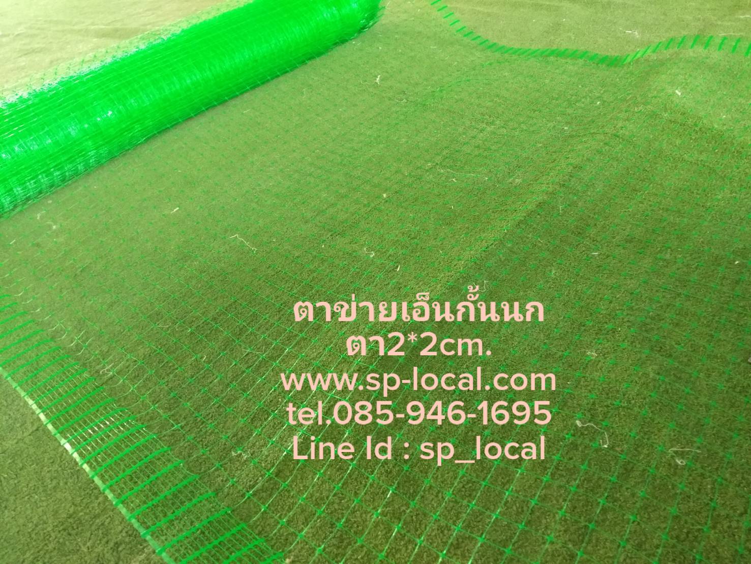 ตาข่ายเอ็นกันนก สีเขียว