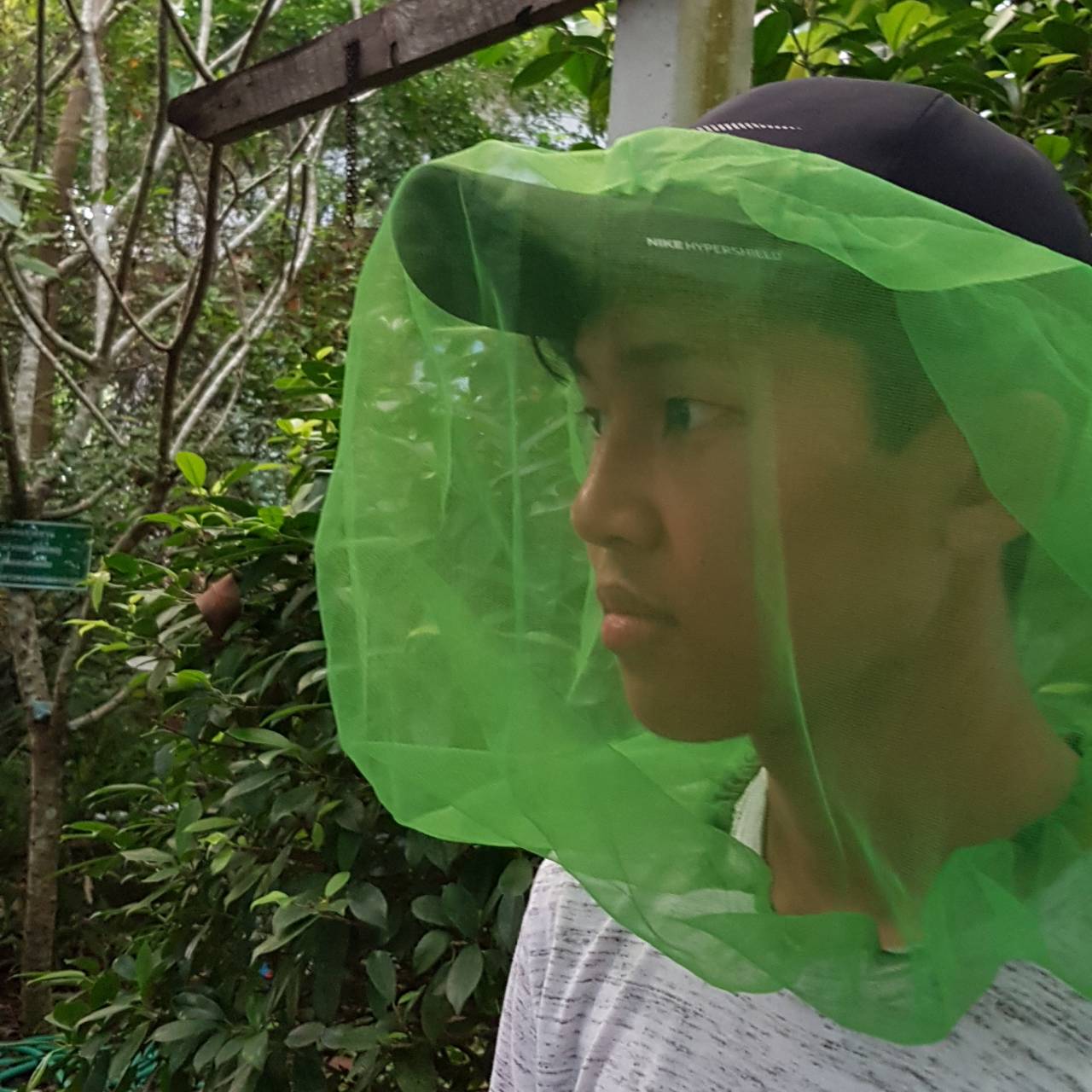 ตาข่ายคลุมหมวกกันยุง กันแมลง หมวกคลุมผมตาข่ายบน หมวกแม่ครัว หมวกพ่อครัว หมวกทำอาหาร หมวกโรงงาน หมวกพนักงานฝ่ายผลิต หมวกอุตสาหกรรม หมวกคลุมเก็บผมชาย-หญิง