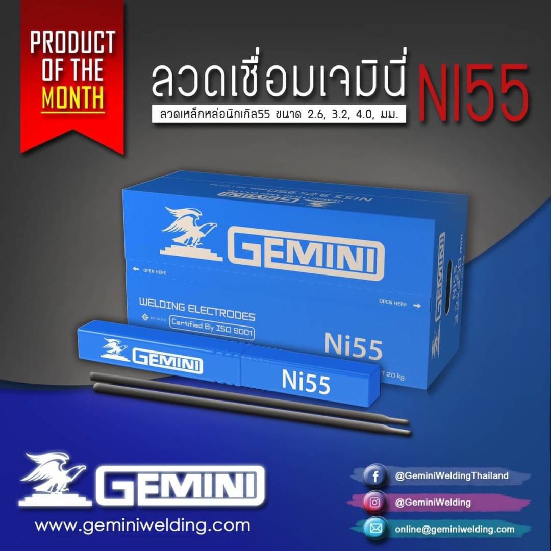 ลวดเชื่อมเหล็กหล่อ GEMINI Ni 55 (1 กก)