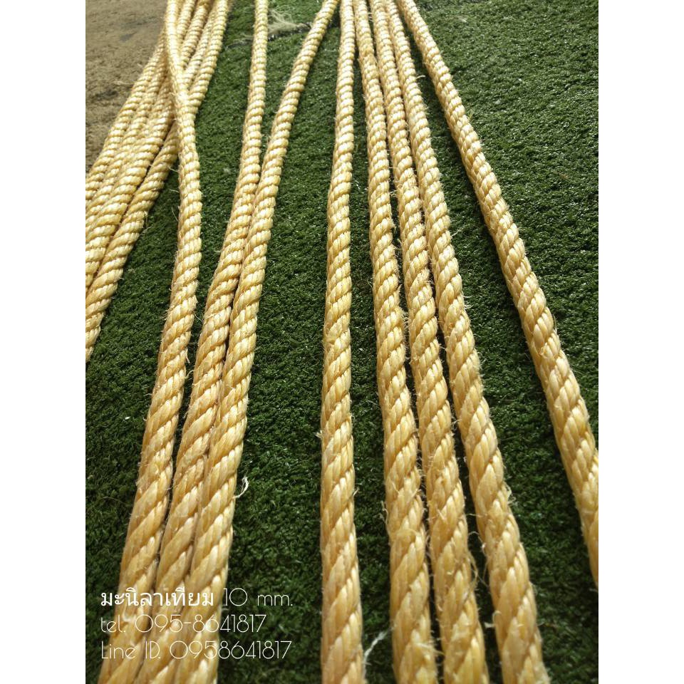 เชือกมะนิลาเทียม 10 mm. เชือกพันต้นไม้ ความยาว 200 เมตร ทนทาน ไม่ขึ้นรา พร้อมส่ง