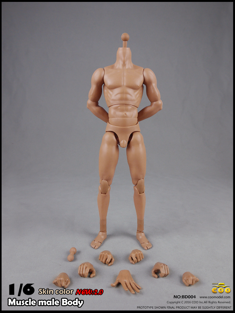 COOMODEL BD003, BD004 Muscle male Body 2.0