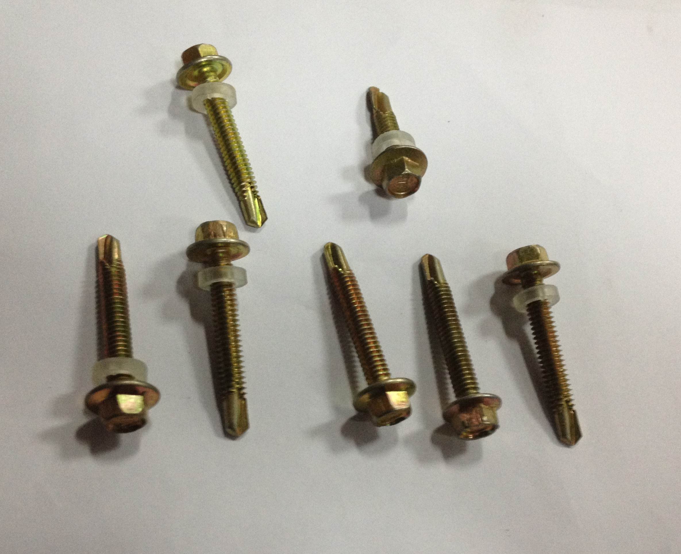 สกรูปลายสว่านพร้อมยางรองขนาด 5.5x25 mm. / ชิ้น