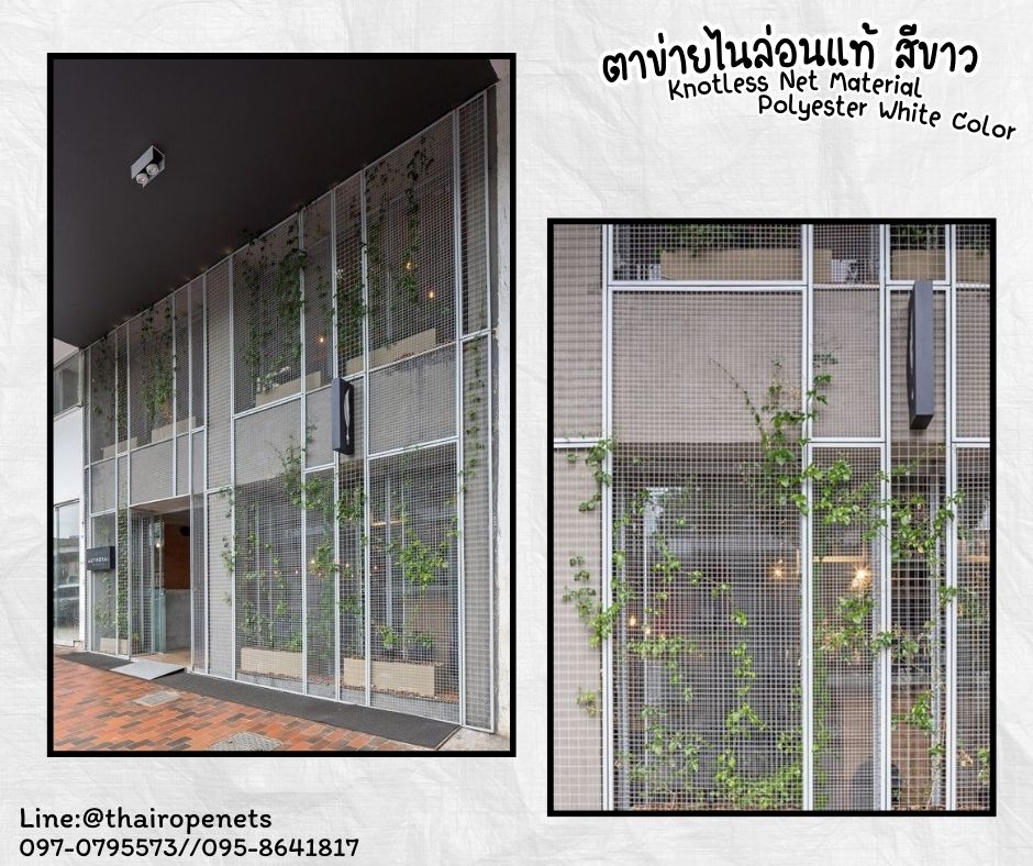ตาข่ายตกแต่ง ตาข่ายกันนกระเบียงคอนโด Knotless Net Material ตาข่ายเชือกไนล่อนแท้ เคลือบสารป้องกัน UV ทนแรงดึงสูง