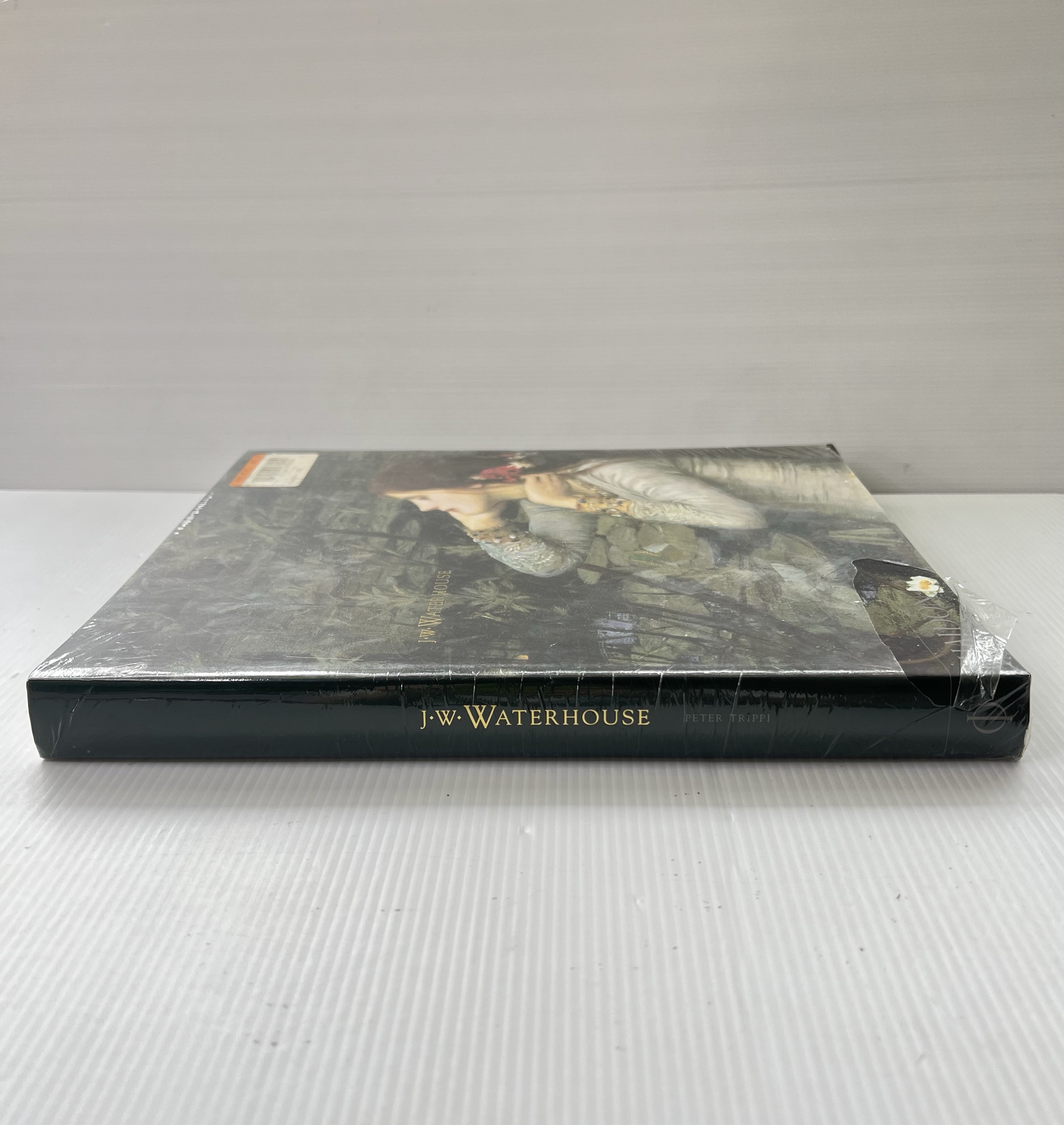 J.W. Waterhouse Peter Trippi March 1, 2005 95-99% Paperback