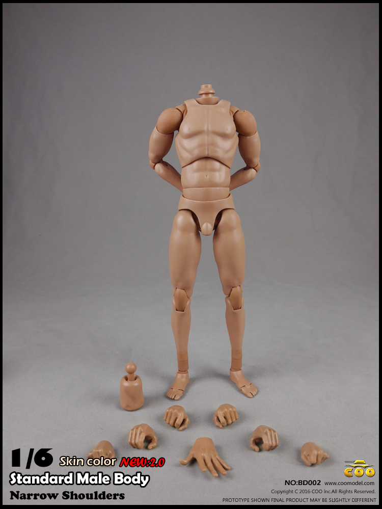 COOMODEL BD001, BD002 Narrow shoulders male Body 2.0