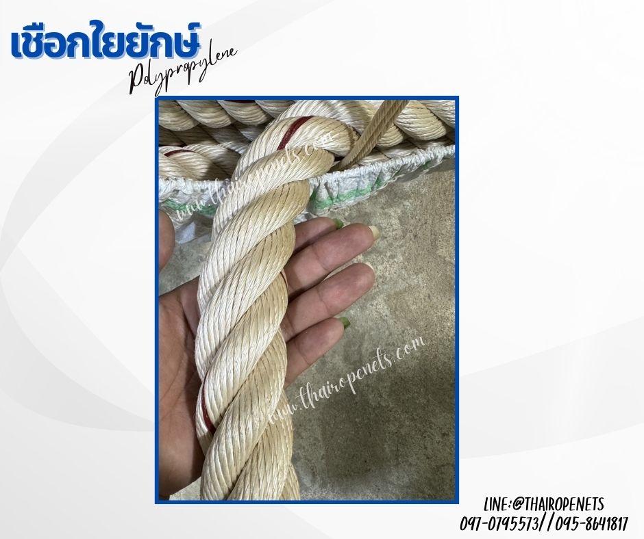 เชือกลากเรือใหญ่ เชือกใยยักษ์ Polypropylene เส้นใหญ่พิเศษ ขนาด 40 มิล เส้นใยเหนียว เกรดA แข็งแรงและทนแรงดึงมากที่สุด