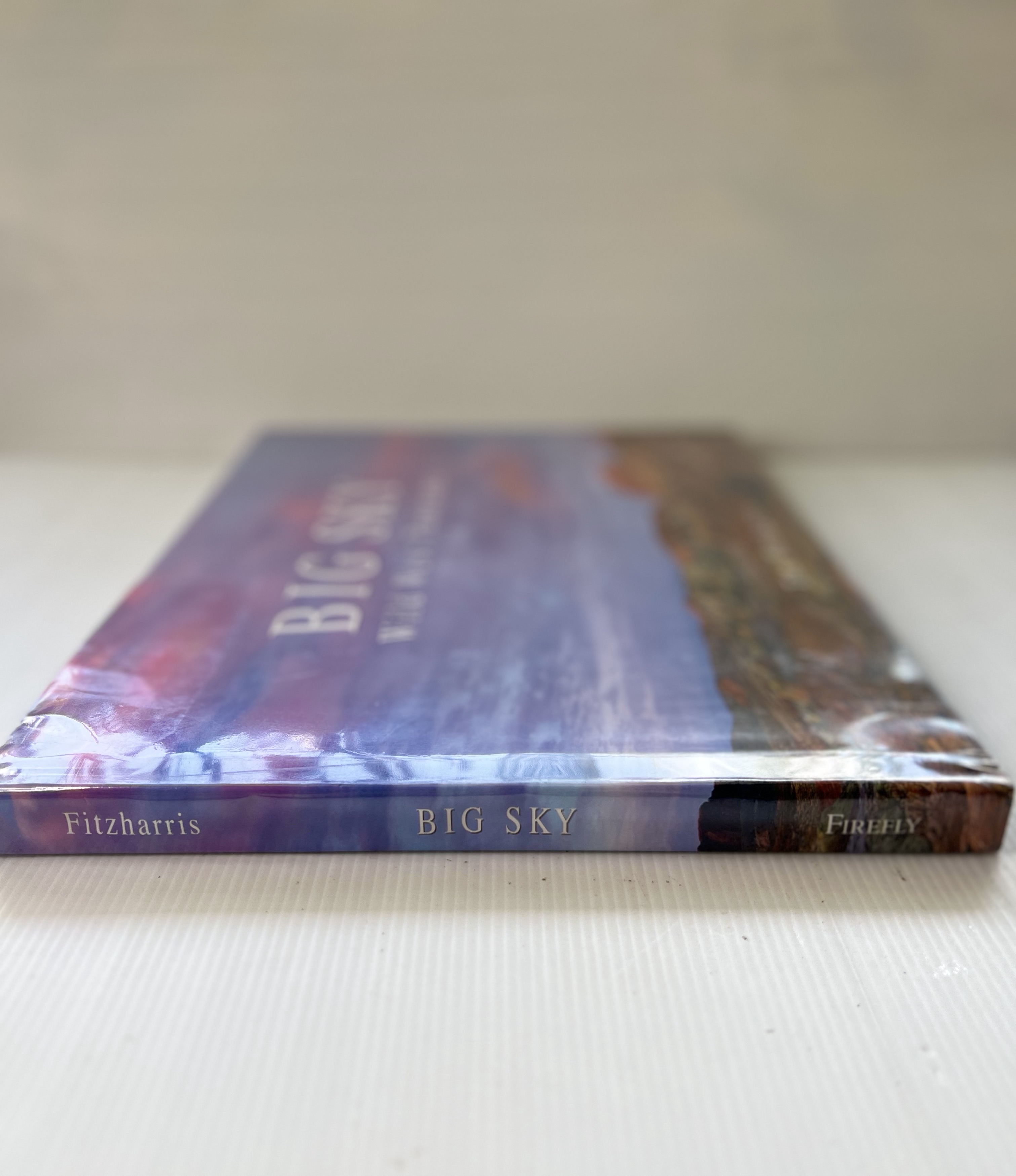 Big Sky: Wild West Panorama Tim Fitzharris August 20, 2006 90-99% Hardcover