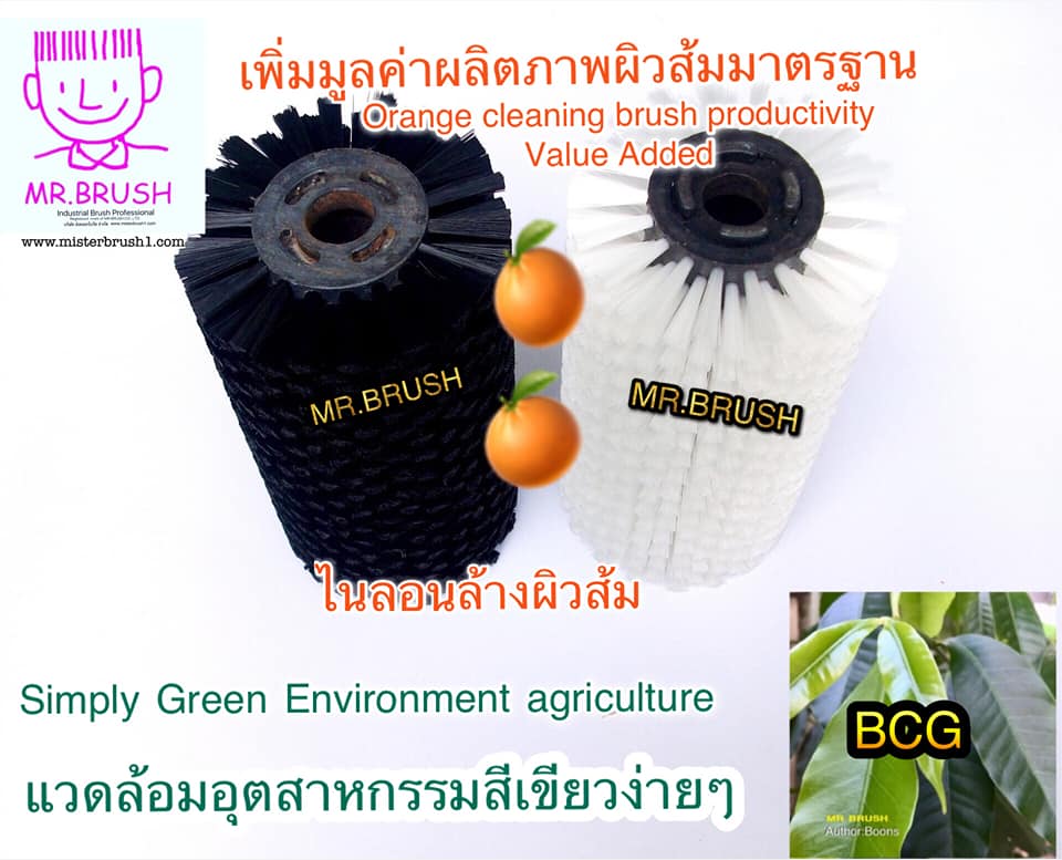 แปรงล้างขัดผิวส้ม