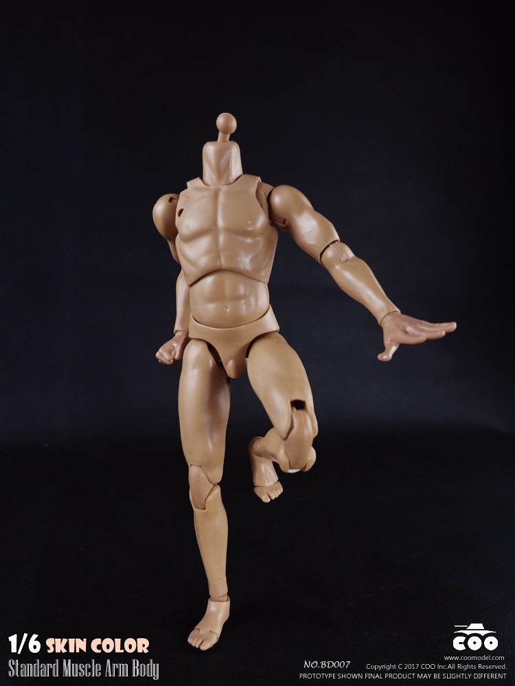 COOMODEL BD007 / BD008 Standard & High Standard Muscle Arm Body