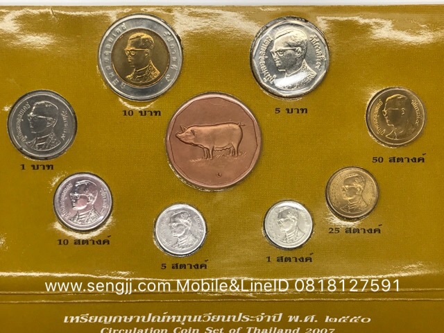 แผงเหรียญหมุนเวียน ปี พ.ศ.2549 (หมู)