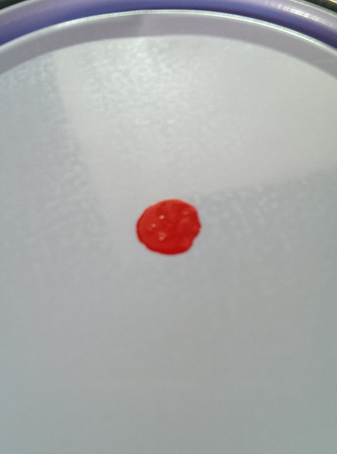 สีพ่น นกแก้ว M45