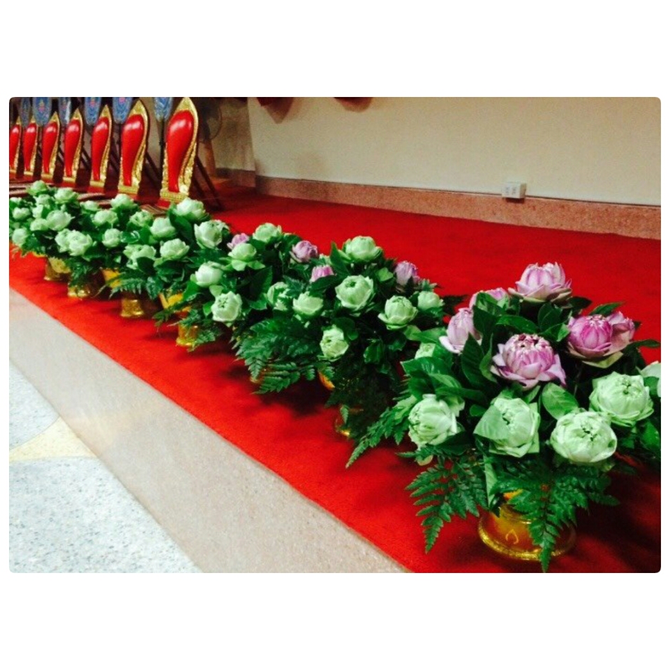 ดอกหน้าตั้งหน้าพระพุทธ