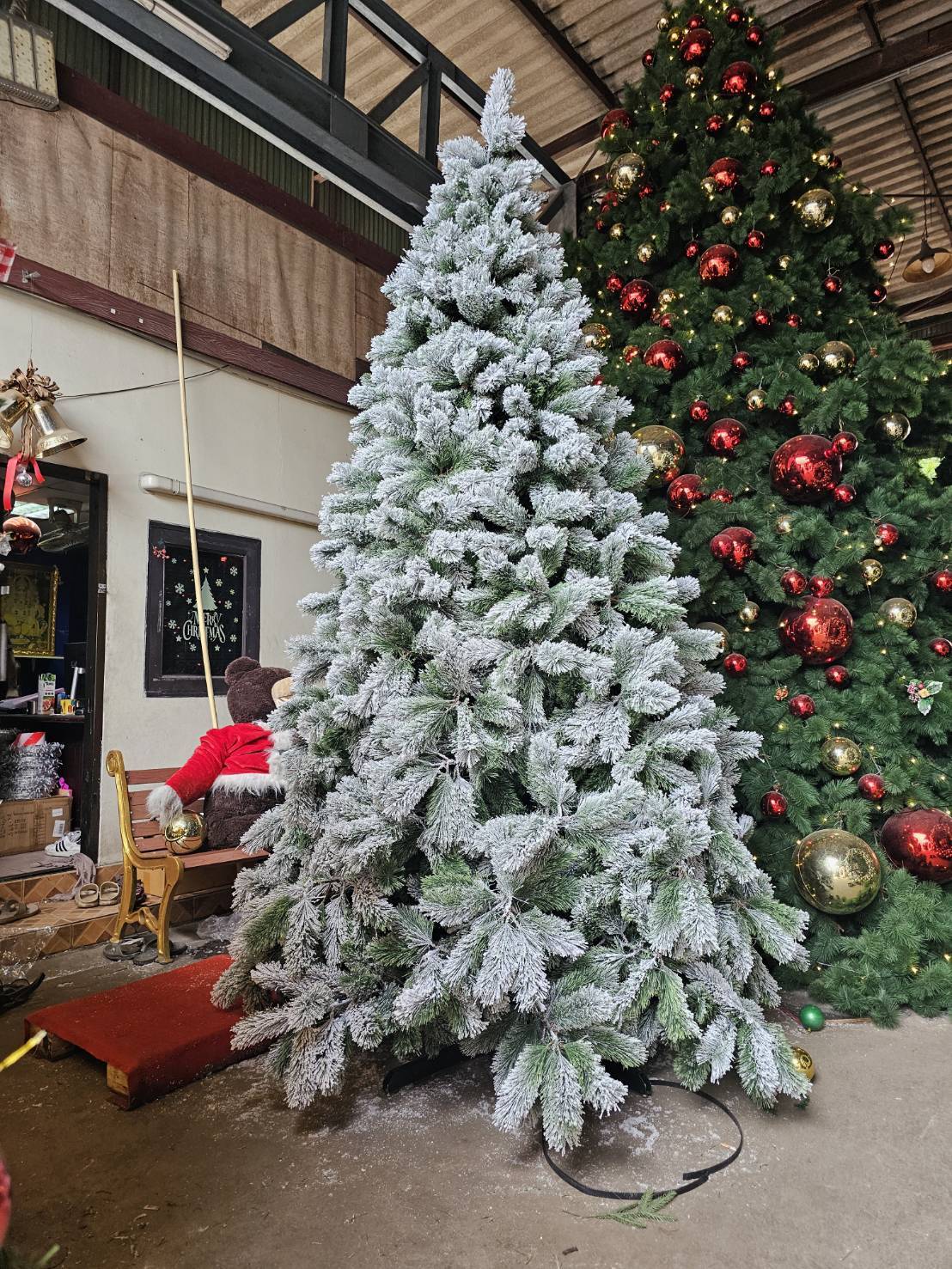 เช่าต้นคริสต์มาส FOR RENT CHRISTMAS TREE